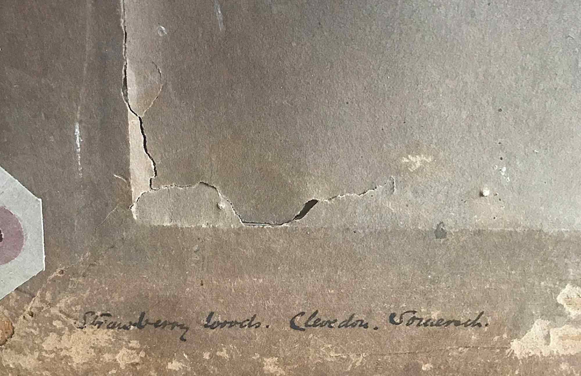 Alice Des Clayes Pastel 'Strawberry Woods - Clevedon, Somerset'