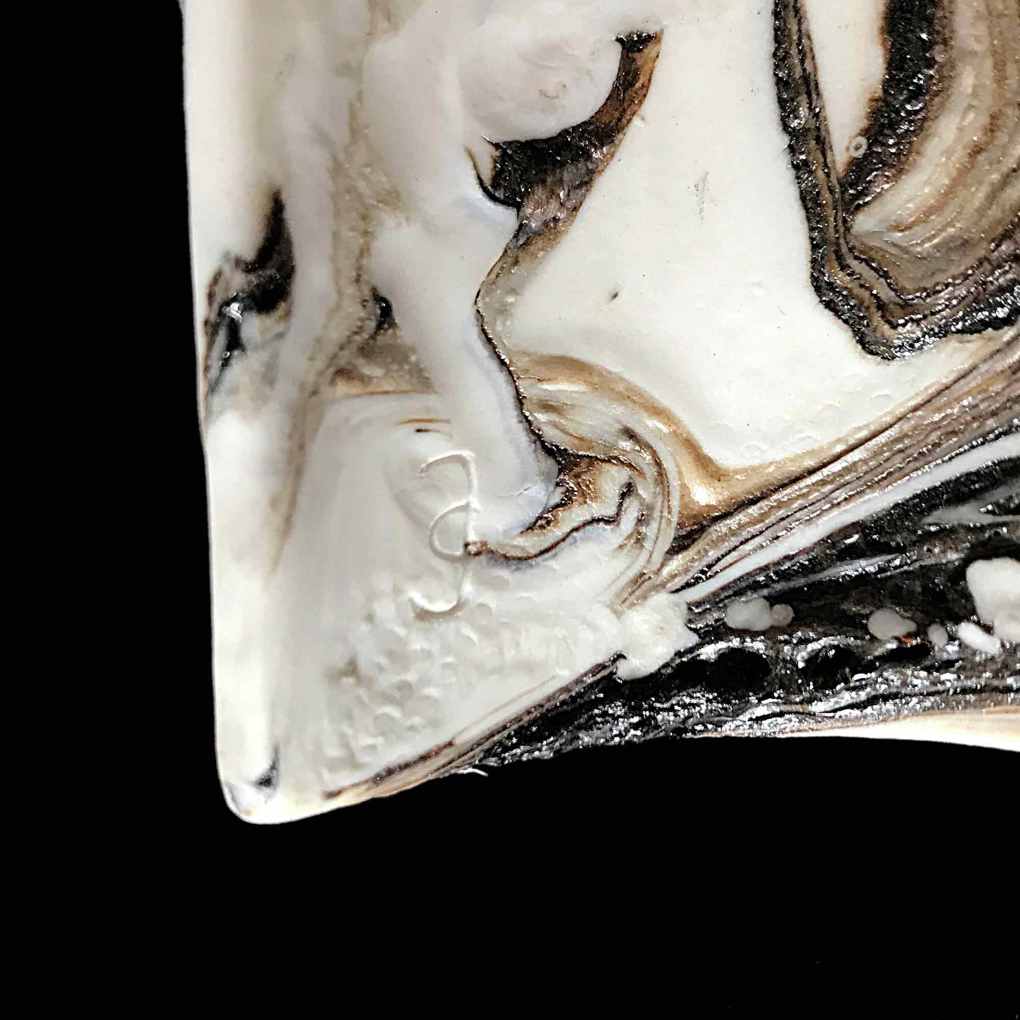 Geetha Alagirisamy porcelain human mask sculpture 'The World in Me' 3 of 3 Geetha Alagirisamy porcelain human mask sculpture 'The World in Me' 3 of 3